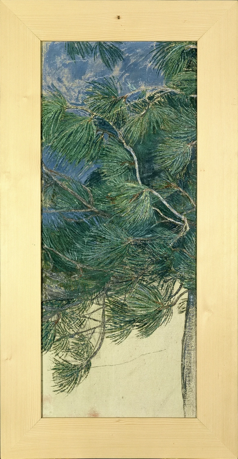 Ramo di cembro - Museo Segantini, St. Moritz